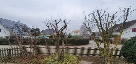 Winterschnitt - Impressionen unserer Arbeit