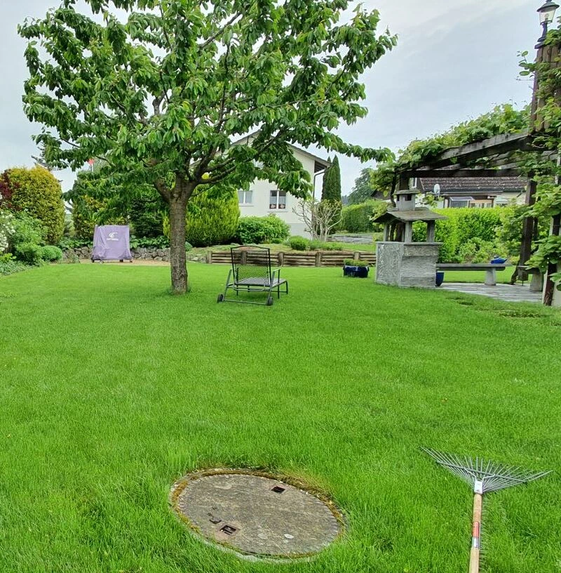 Winterschnitt Winterthur - Ihre Pflanzen in besten Händen